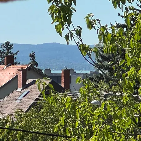 Balaton Vibe *